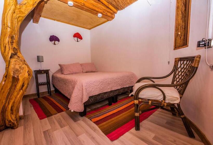 חדר אקונומי, Parina Atacama