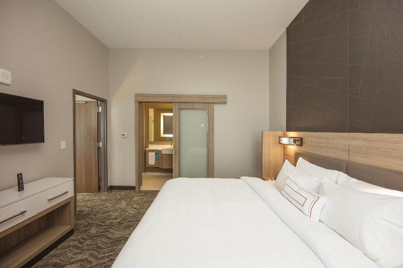キングサイズベッドのスイートルーム, Springhill Suites By Marriott Athens Downtown/university Area