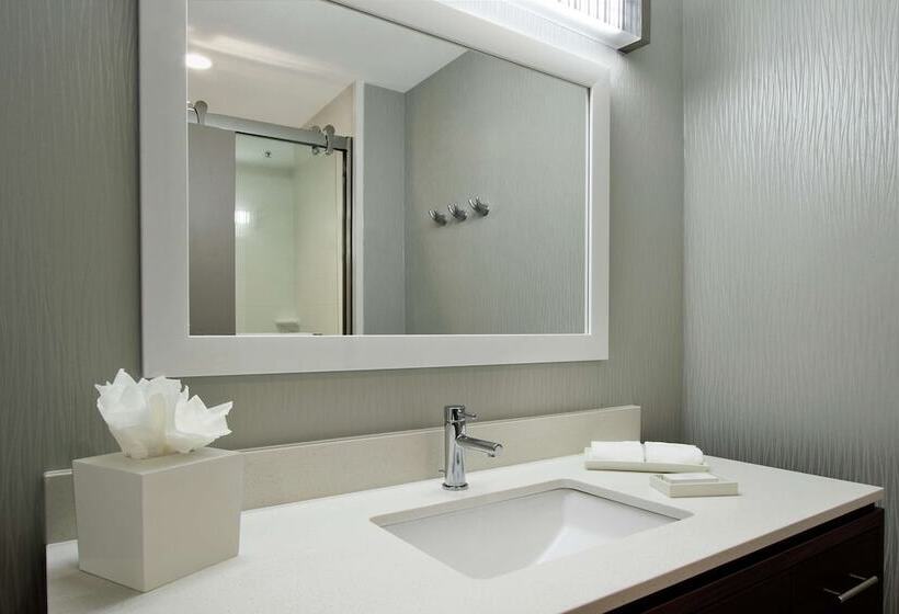 Люкс, Home2 Suites By Hilton Mobile I65 Government Boulevard