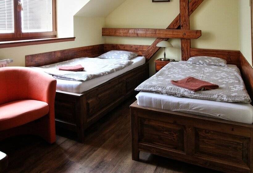 Habitació Estàndard, Penzion Pri Mlyne