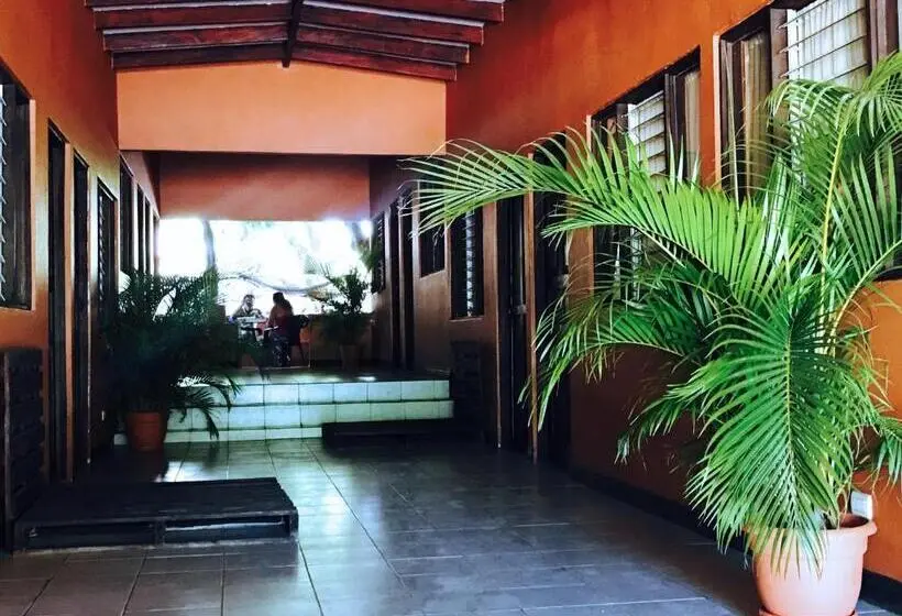 スタンダードトリプルルーム, Tsunami Hostel