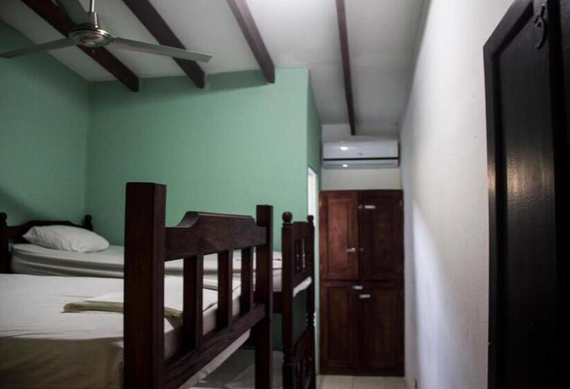 スタンダード４人部屋, Tsunami Hostel