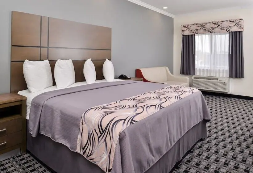 اتاق اکونومی یک تخته, Americas Inn & Suites Iah North