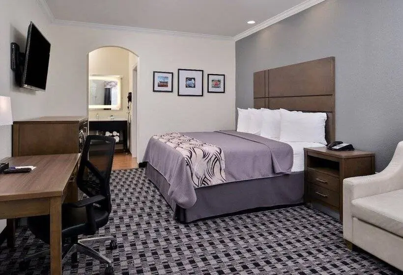 اتاق اکونومی یک تخته, Americas Inn & Suites Iah North