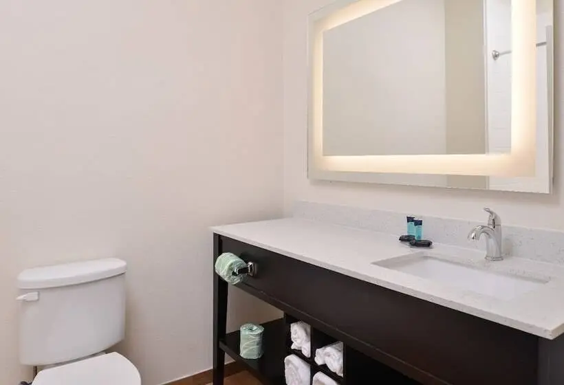 اتاق اکونومی, Americas Inn & Suites Iah North
