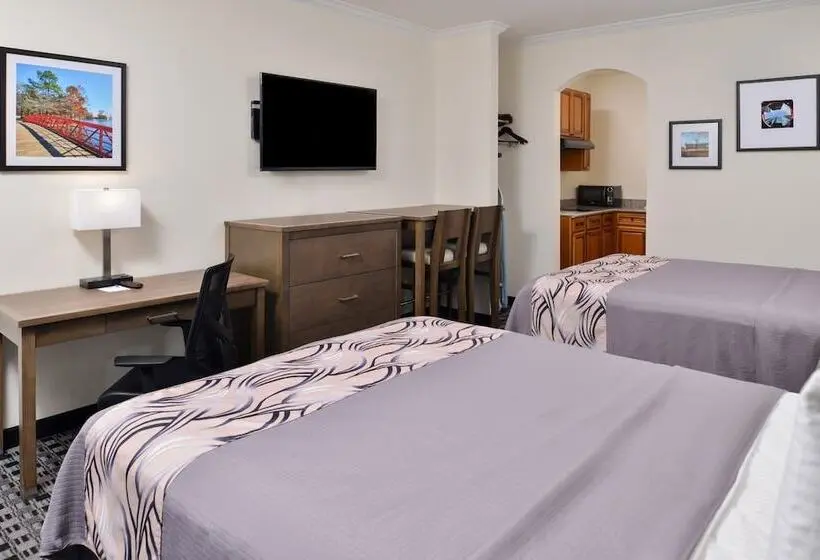 اتاق اکونومی, Americas Inn & Suites Iah North