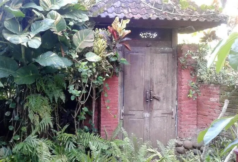 海の見える１ベッドルームアパートメント, Pondok Pisces Bungalows