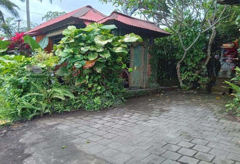 بنجلو قياسى مطل على البحر, Pondok Pisces Bungalows