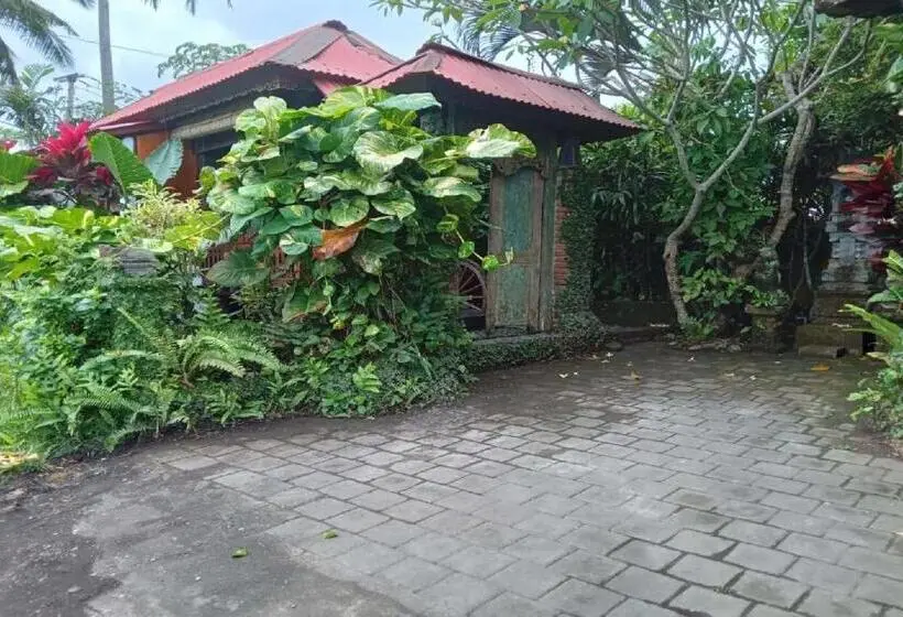 オーシャンビューのスタンダードバンガロー, Pondok Pisces Bungalows