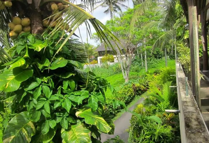 スタンダードルーム, Pondok Pisces Bungalows