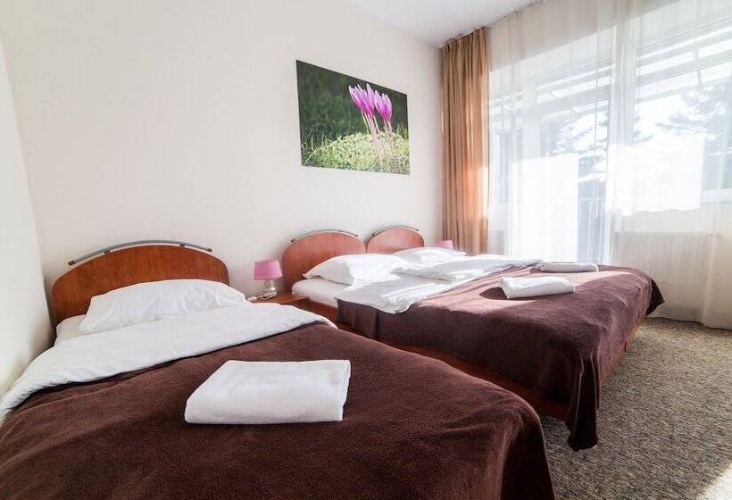 Номер Стандарт Трехместный, Ośrodek Wypoczynkowy Wiga