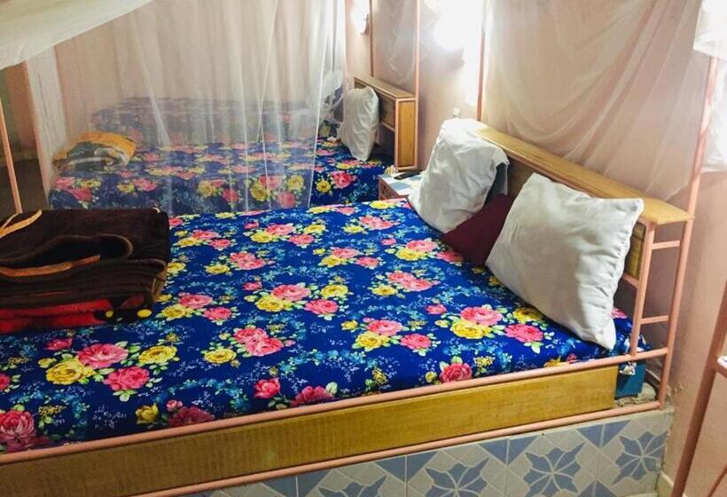 اتاق استاندارد چهار تخته, Toolbi