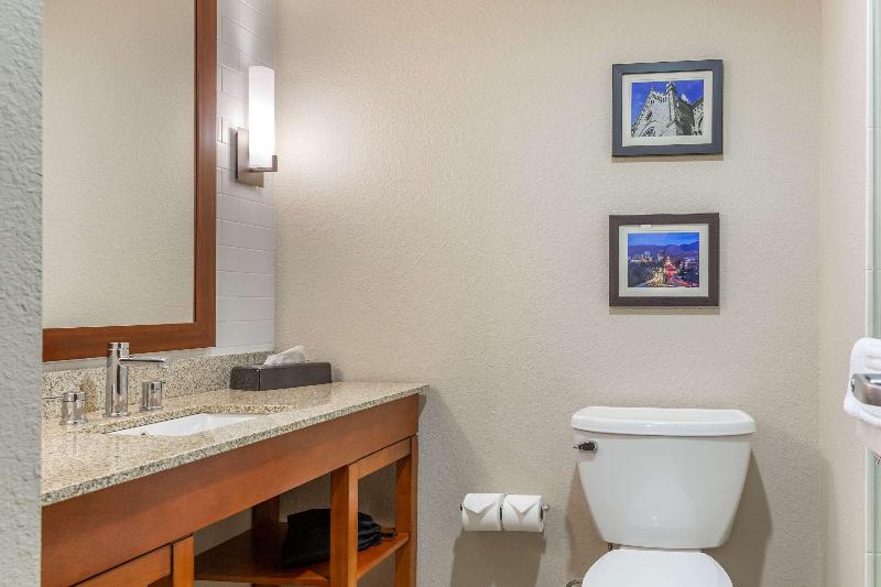سوئیت با تخت بزرگ, Comfort Inn & Suites Boise Airport
