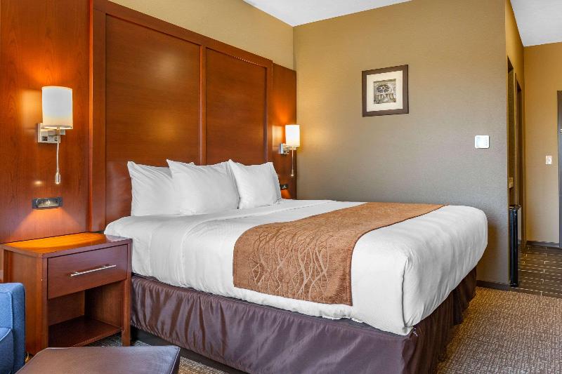 اتاق استاندارد با تخت بزرگ, Comfort Inn & Suites Boise Airport