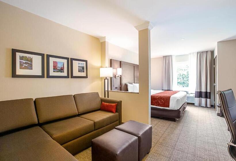 Люкс Кровать Кинг, Comfort Suites Fishkill Near Interstate 84