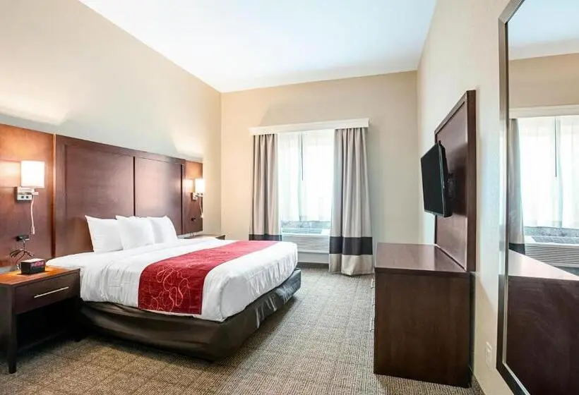キングサイズベッドのスイートルーム, Comfort Suites Fishkill Near Interstate 84