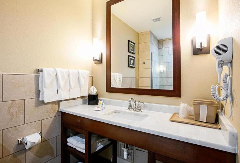 Номер Стандарт, Comfort Suites Fishkill Near Interstate 84