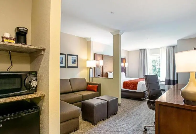 キングサイズベッドのスタンダードルーム, Comfort Suites Fishkill Near Interstate 84