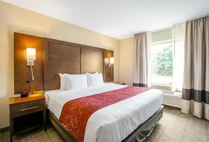 身障者適用キングサイズベッドルーム, Comfort Suites Fishkill Near Interstate 84