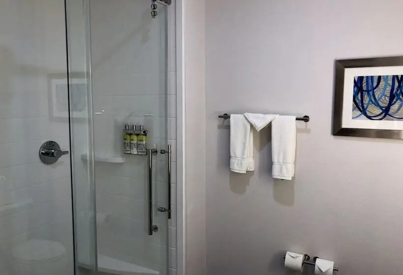スイート, Holiday Inn Express & Suites   Houston Westchase   Westheimer, An Ihg