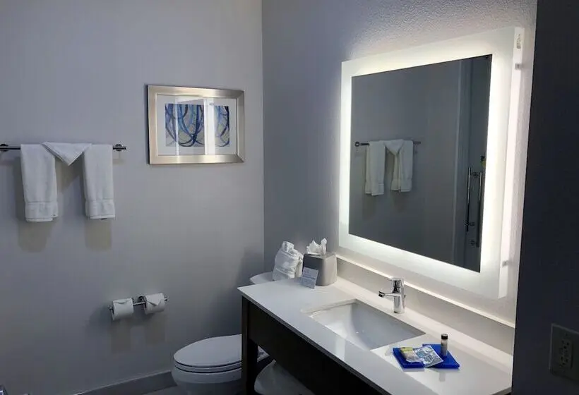 スイート, Holiday Inn Express & Suites   Houston Westchase   Westheimer, An Ihg