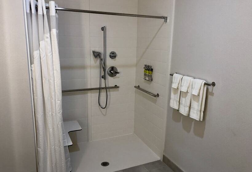 Люкс Адаптированный для Инвалидов, Holiday Inn Express & Suites Houston Westchase Westheimer, An Ihg