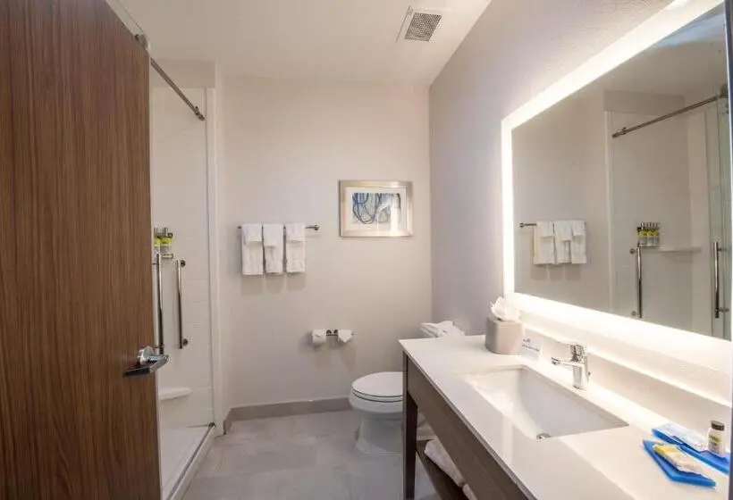 キングサイズベッドのスイートルーム, Holiday Inn Express & Suites   Houston Westchase   Westheimer, An Ihg