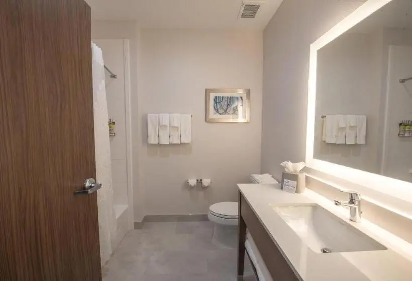 身障者適用キングサイズベッドルーム, Holiday Inn Express & Suites   Houston Westchase   Westheimer, An Ihg