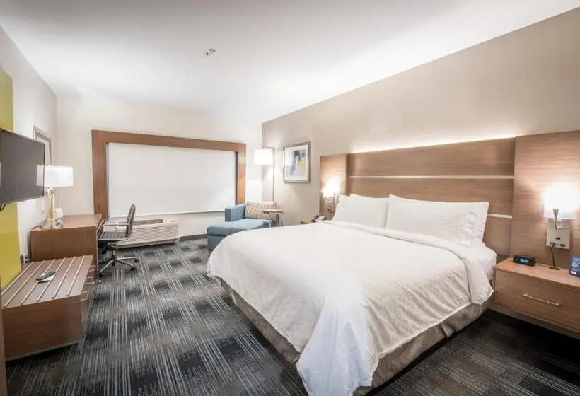 身障者適用キングサイズベッドルーム, Holiday Inn Express & Suites   Houston Westchase   Westheimer, An Ihg