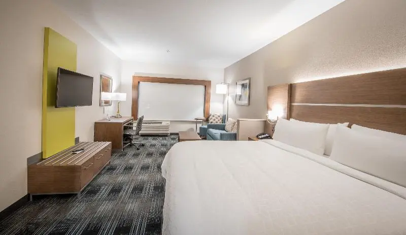キングサイズベッドのスイートルーム, Holiday Inn Express & Suites   Houston Westchase   Westheimer, An Ihg