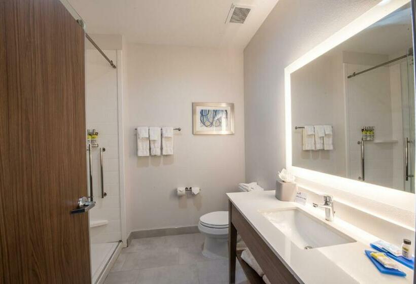 Номер Стандарт, Holiday Inn Express & Suites Houston Westchase Westheimer, An Ihg