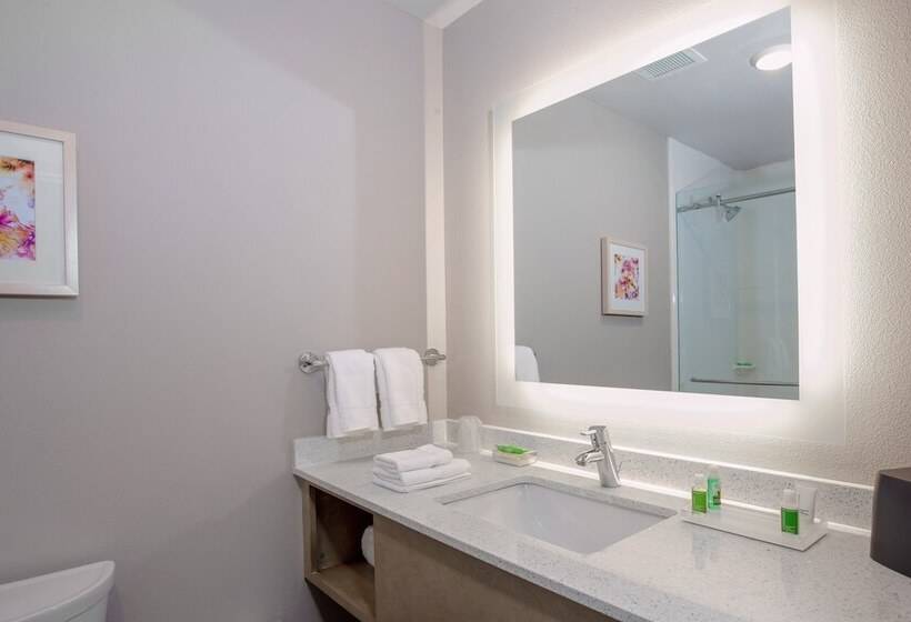 スタンダードルーム, Holiday Inn Tallahassee E Capitol Univ, An Ihg