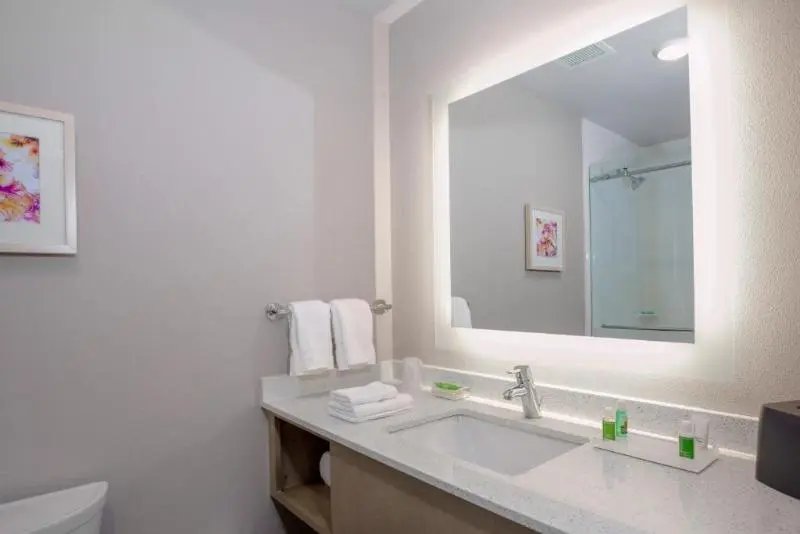 身障者適用キングサイズベッドルーム, Holiday Inn Tallahassee E Capitol Univ, An Ihg