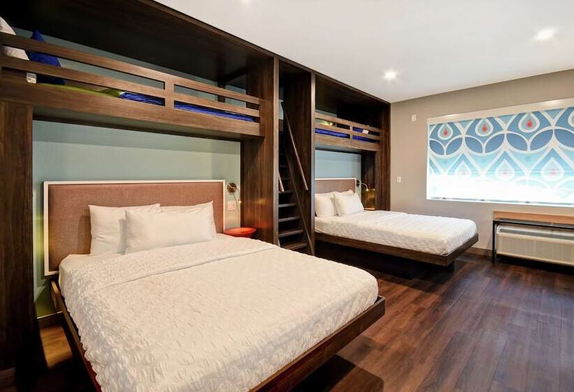 身障者適用スタンダードルーム, Tru By Hilton Pigeon Forge, Tn