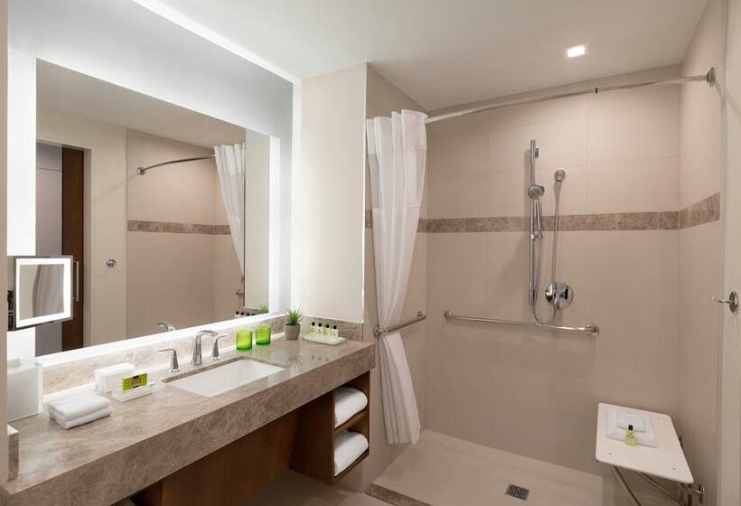 Номер Стандарт Двуспальная Кровать Адаптированный для Инвалидов, Intercontinental Houston, An Ihg