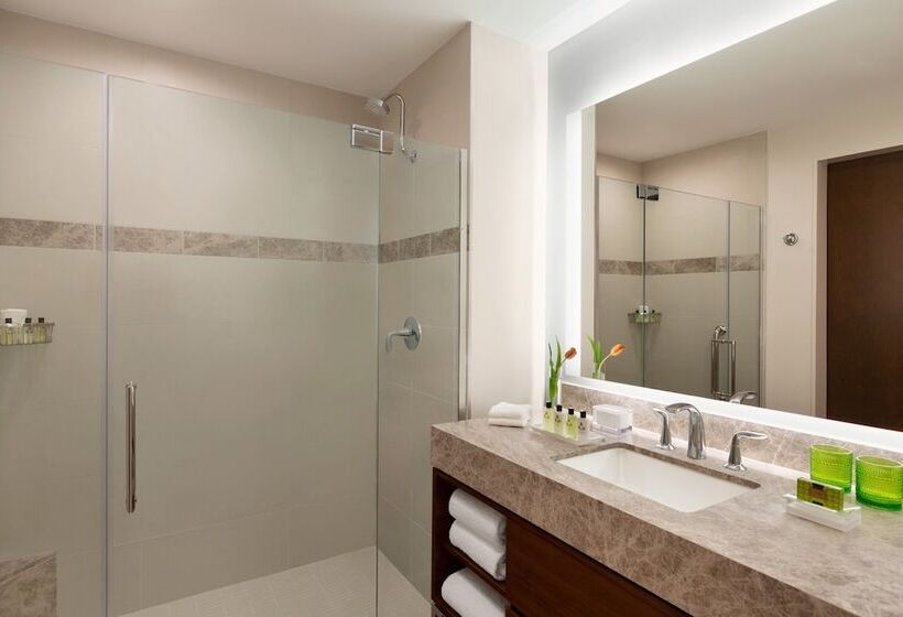 Chambre Standard Lit Double Adaptée aux Personnes à Mobilité Réduite, Intercontinental Houston, An Ihg