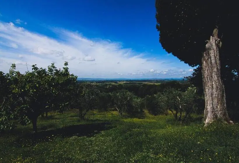 آپارتمان 3 خوابه, Agriturismo Poggio Bonelli