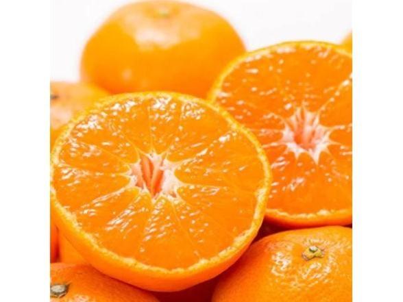 Номер Стандарт Вид на Море, Ryugu