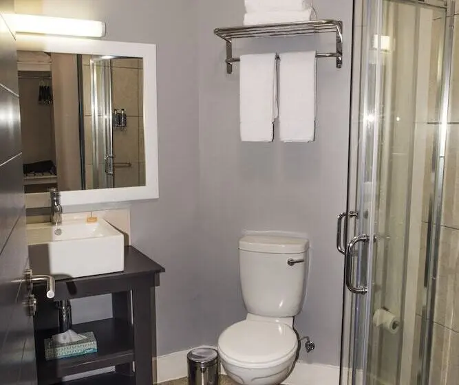 اتاق استاندارد برای معلولان, The Urban Hotel Ndola