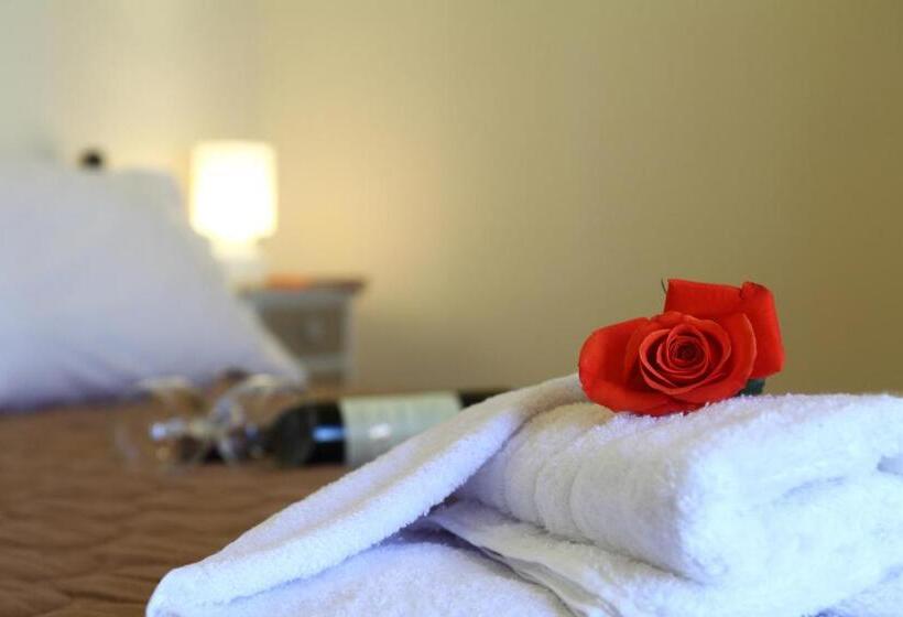 דירת חדר, Niriides