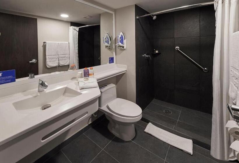 スタンダードルーム, City Express By Marriott Ciudad De México Tlalnepantla