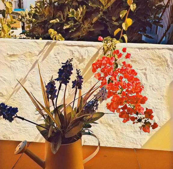 豪华房间, Lucero 12