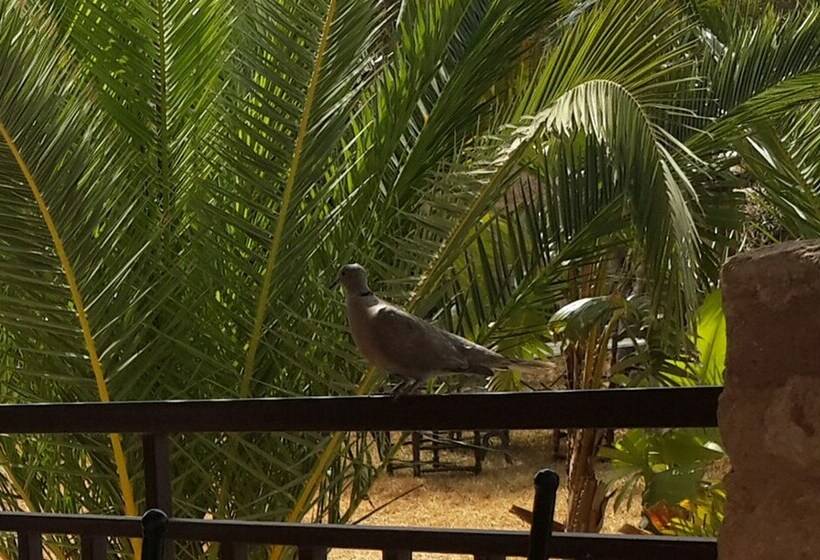 اتاق سوپریور با چشم‌انداز باغ, Parfums D'étoiles