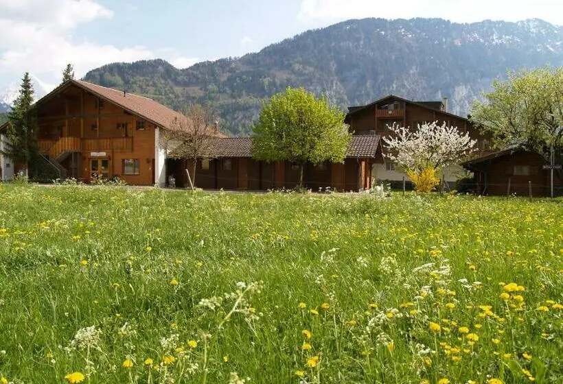 スタンダードルーム, Salzano Basic Rooms Interlaken