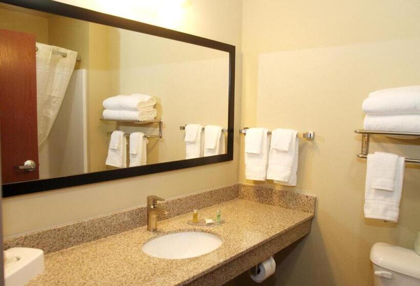 Номер Deluxe, Cobblestone Inn & Suites   Vinton