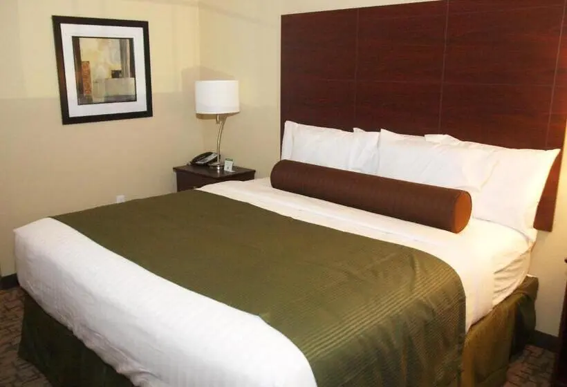 キングサイズベッドのスタンダードルーム, Cobblestone Inn & Suites   Vinton