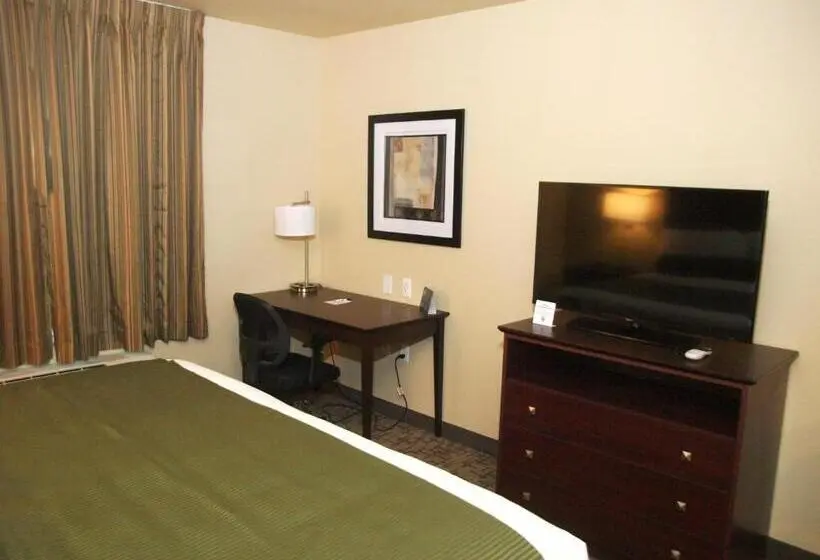 キングサイズベッドのスタンダードルーム, Cobblestone Inn & Suites   Vinton