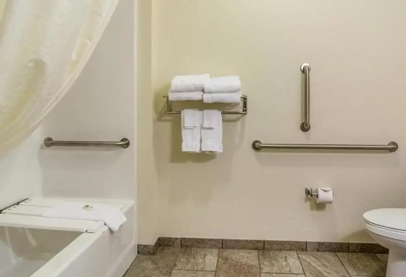 身障者適用キングサイズベッドルーム, Cobblestone Inn & Suites   Vinton