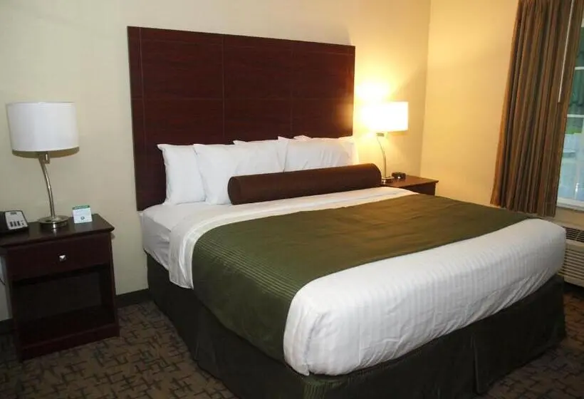 身障者適用キングサイズベッドルーム, Cobblestone Inn & Suites   Vinton