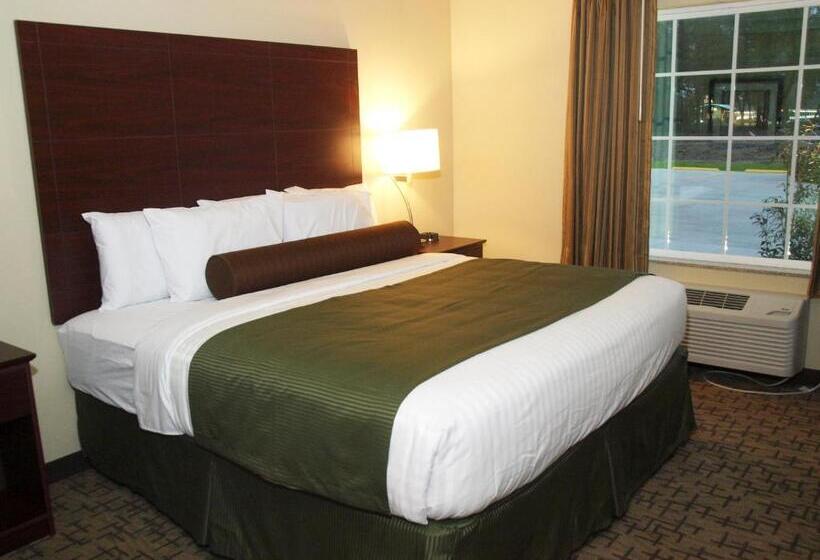 适合残疾人士使用的带超级大床的标准间, Cobblestone Inn & Suites   Vinton